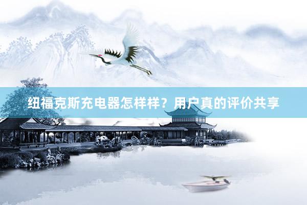 纽福克斯充电器怎样样？用户真的评价共享