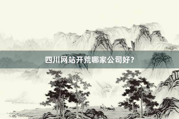 四川网站开荒哪家公司好？