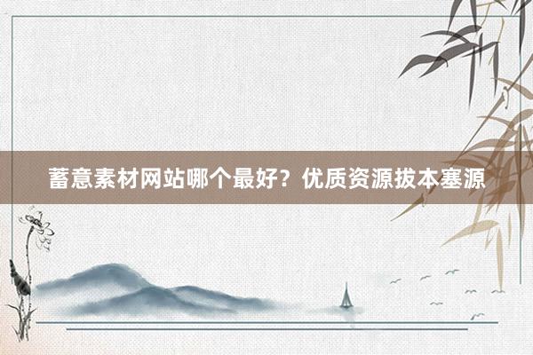 蓄意素材网站哪个最好？优质资源拔本塞源