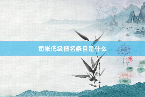 司帐低级报名条目是什么