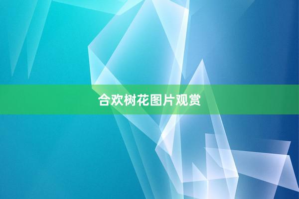 合欢树花图片观赏